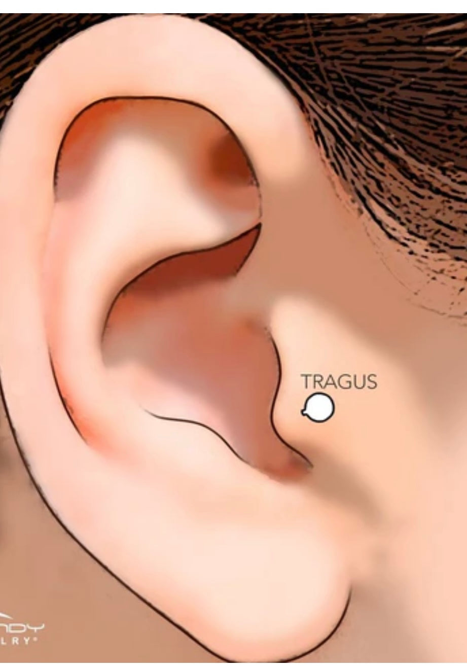 Perforation Tragus