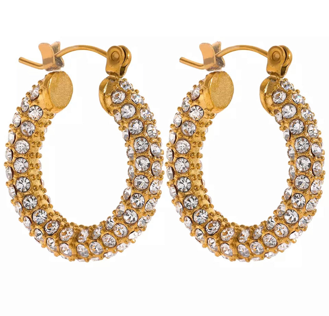 Earrings, Hoops with circonio luxury collection